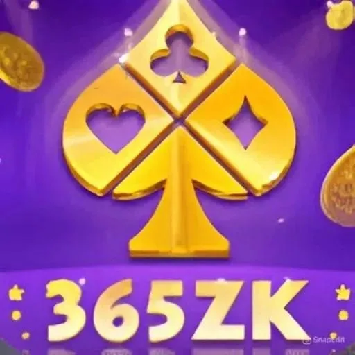 365ZK - Aplikasi VPN Indonesia Terbaik untuk Keamanan Internet